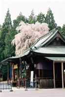 䓌Ƌ{