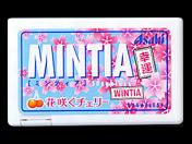 MINTIA (ԍ炭`F[)
